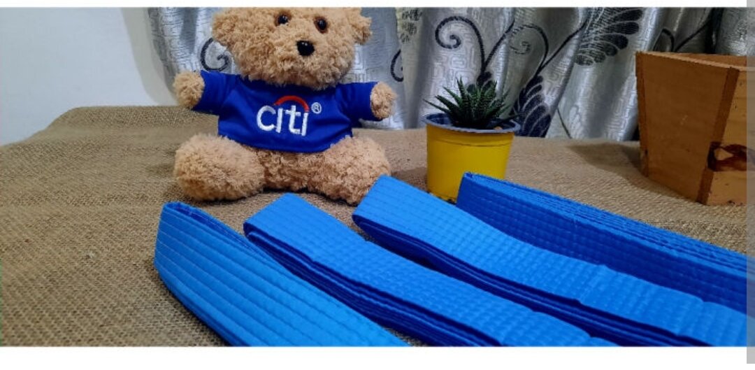 Đai Nhập Môn Vovinam