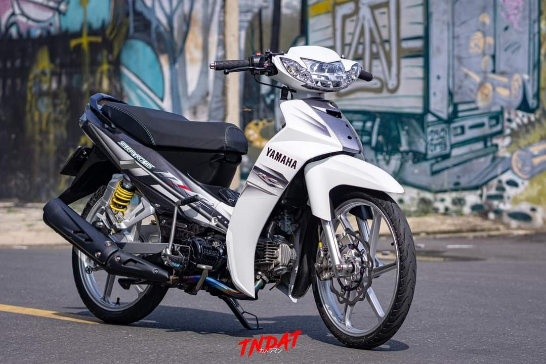 tem rời sirius trắng đen rc