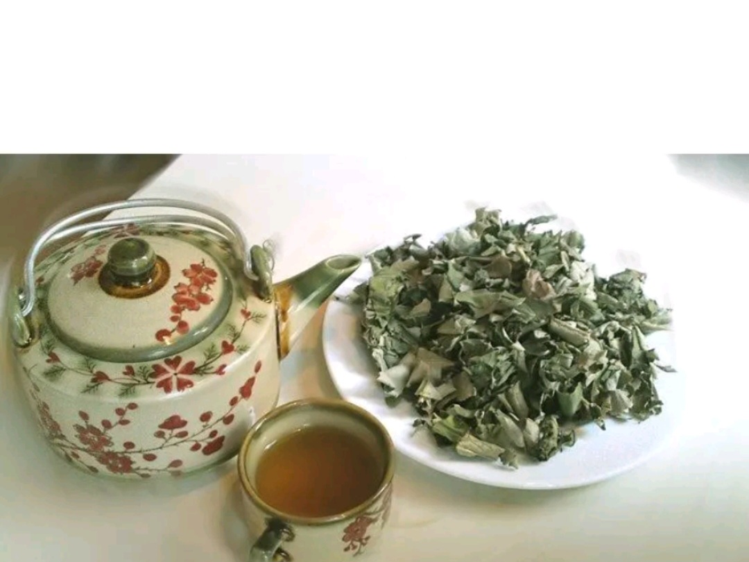Cây cúc tần khô ( Từ Bi ) 1 Ký