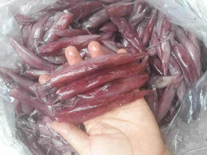 Mực muối tươi hũ 500gr