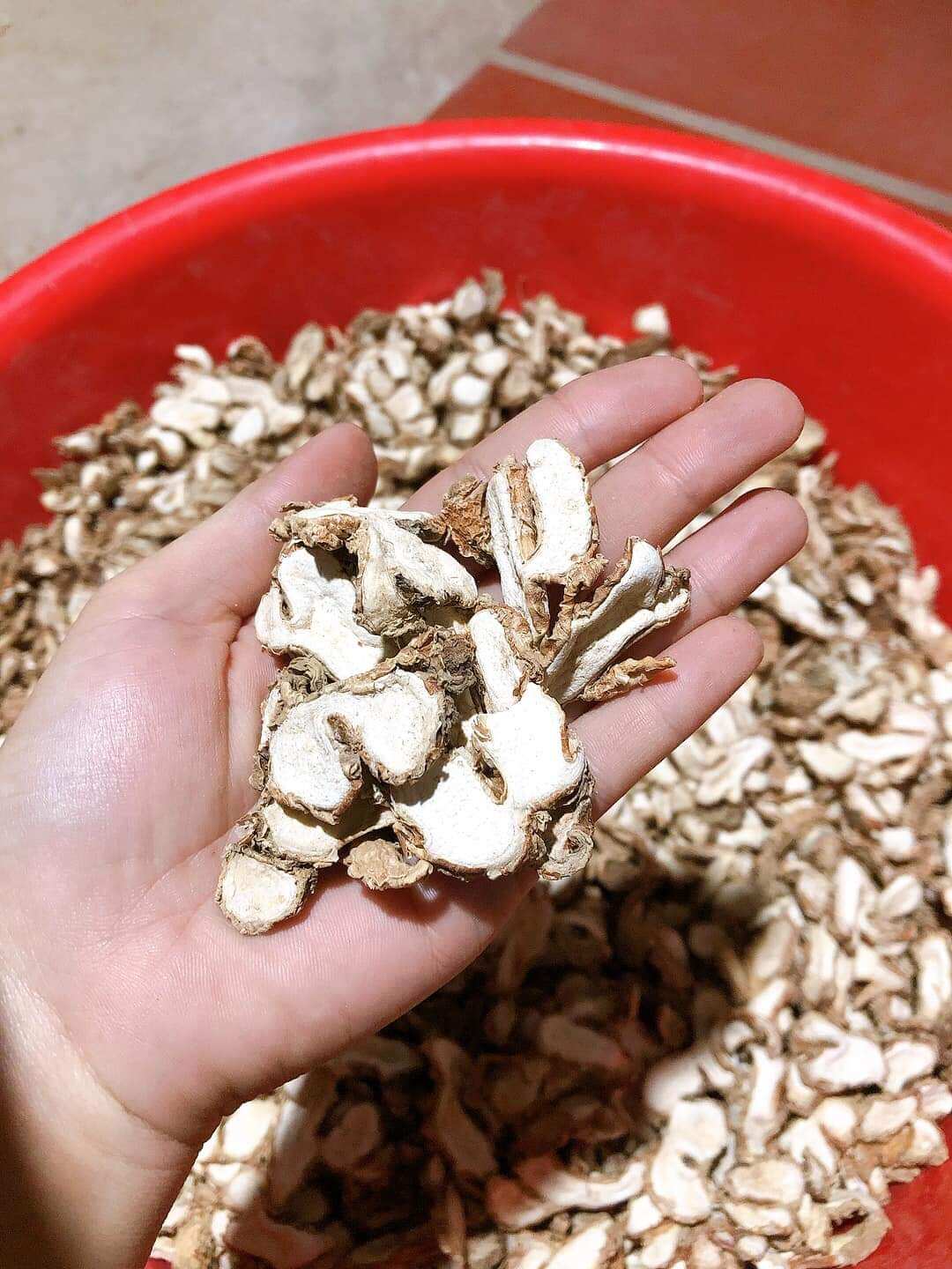 Địa liền phơi khô hay Xá kén khô hay Tam nại khô