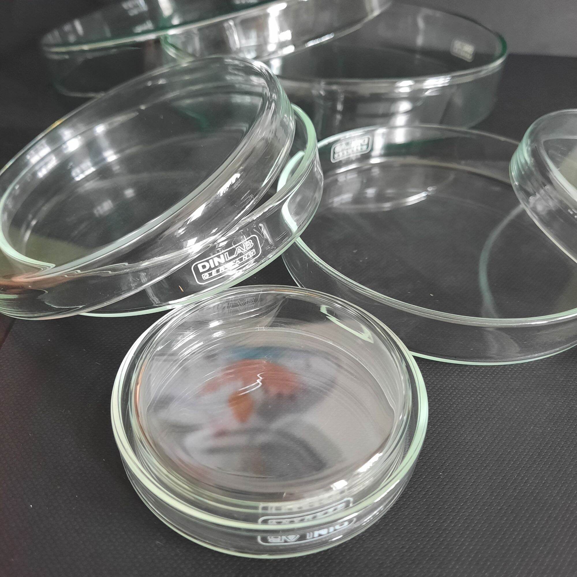 [Dinlab-Đức] 1 CẶP ĐĨA PETRI THỦY TINH NHIỀU SIZE