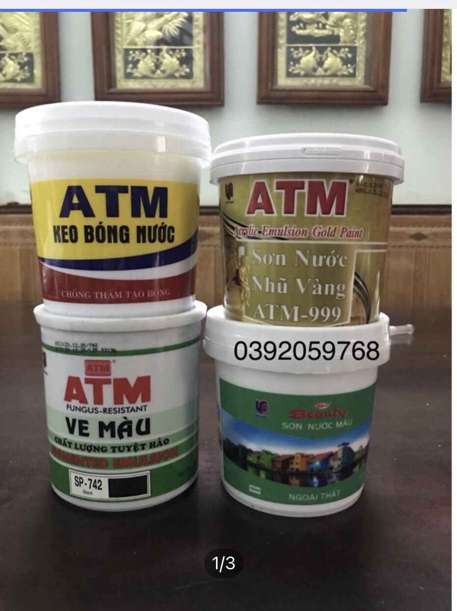 Combo 4 Hộp Sơn Hệ Nước Atm ( Nhũ Vàng, Trắng , Đen, Keo Bóng)