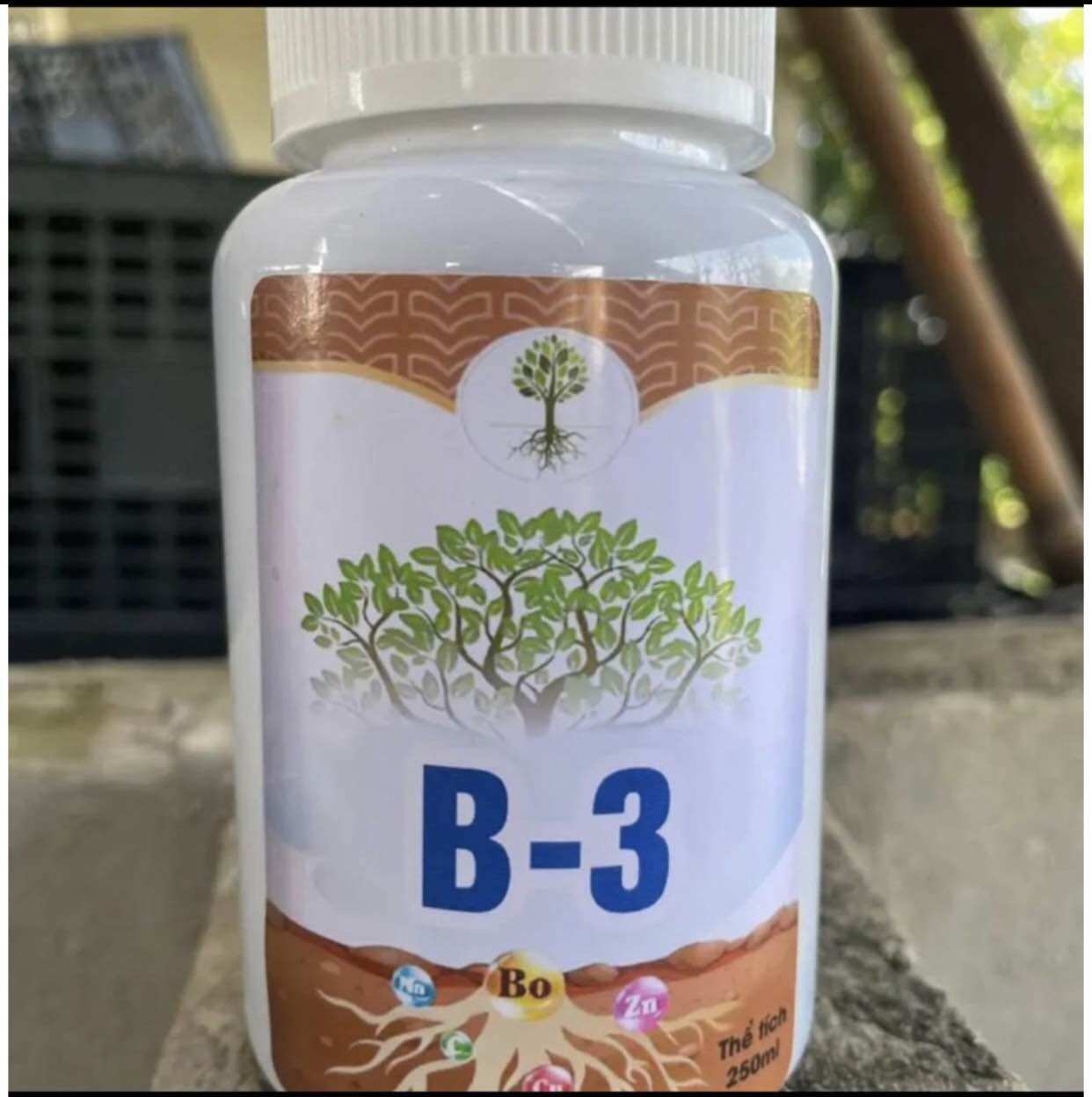 H1+B3 combo kích sung ra hoa và kích quả