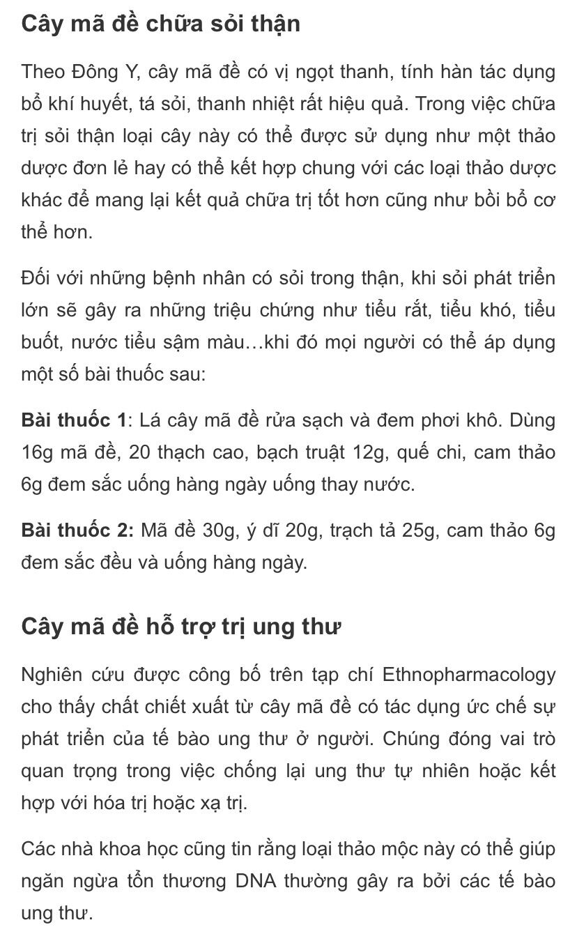 Hạt giống cây má đề