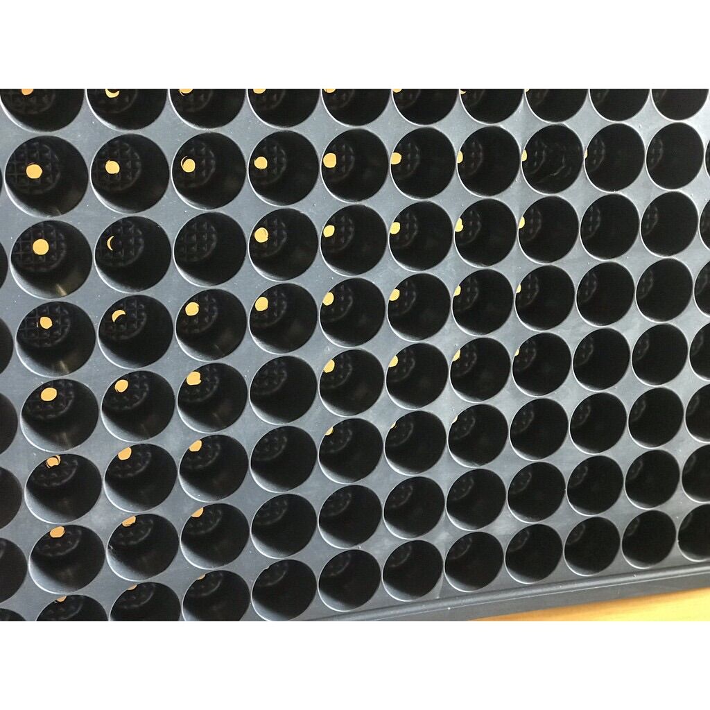 1 cái khây ươm cây tại nhà 104 lỗ vĩ ươm cây