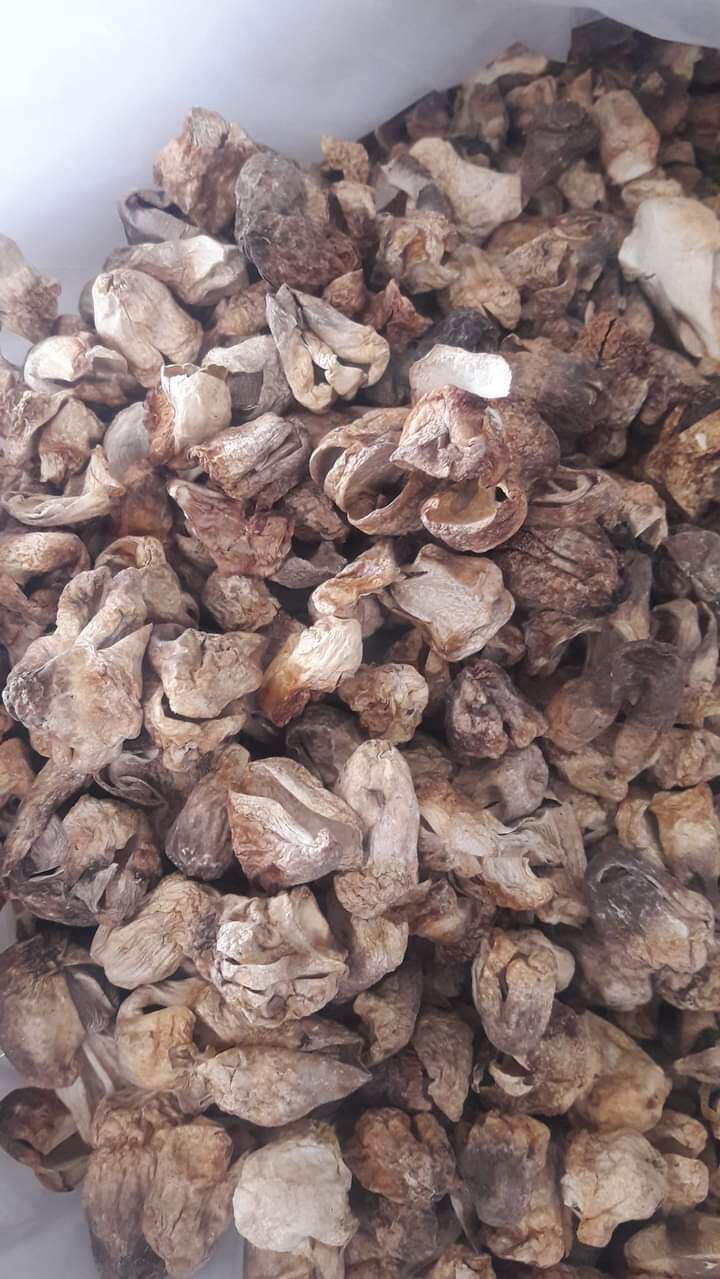 500g Nấm Rơm Búp Khô