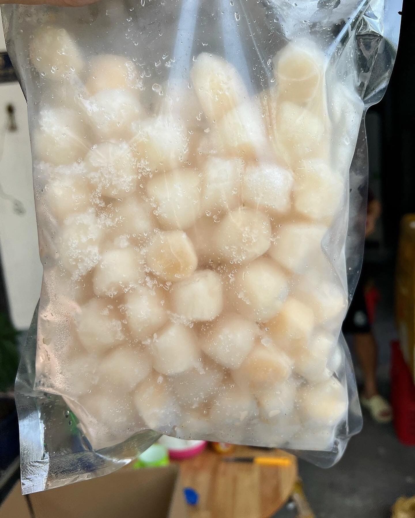 [HCM] CÒI SÒ ĐIỆP 500GR NET 7