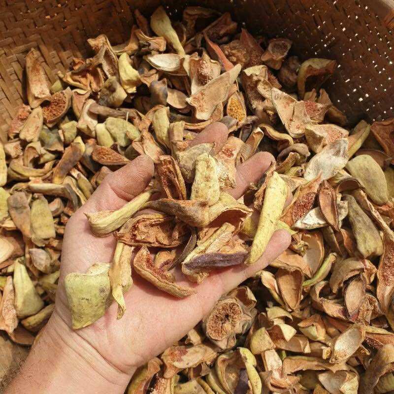 Quả trâu cổ khô 500g -1kg