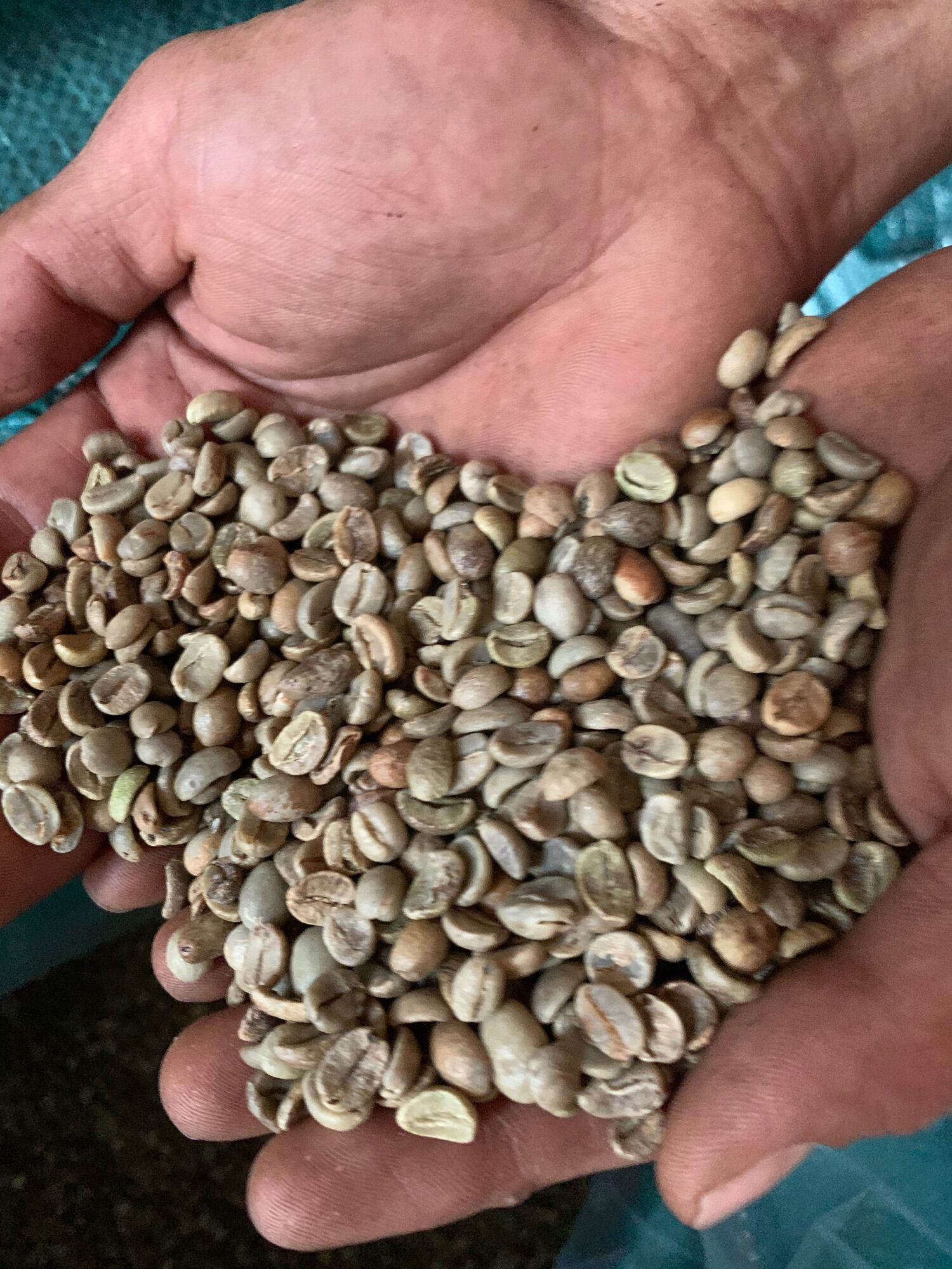 500g Cà Phê Robusta+Arabica