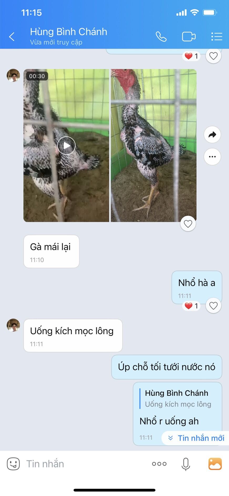 Dr.Fur (50vien): kích mọc lông nhanh gà đá