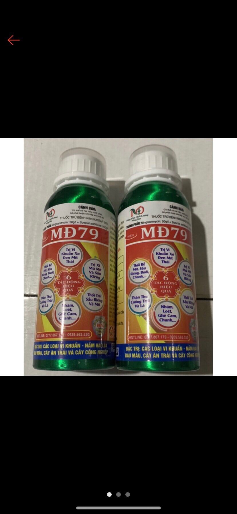 Quản ly sơ đen cho mít thái MD79