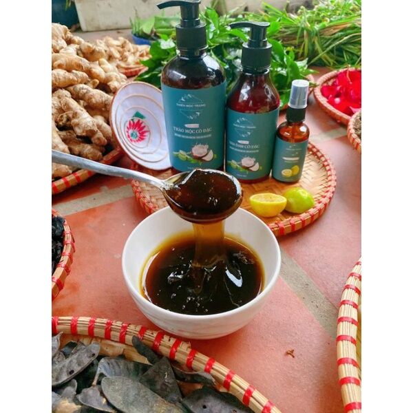Dầu gội thảo mộc cô đặc