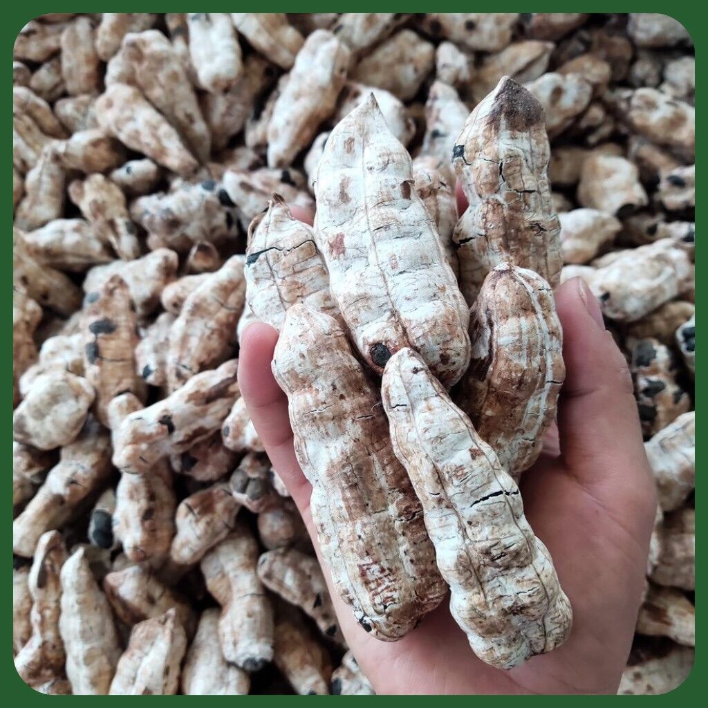 Quả chuối cô đơn 1KG - 1KG