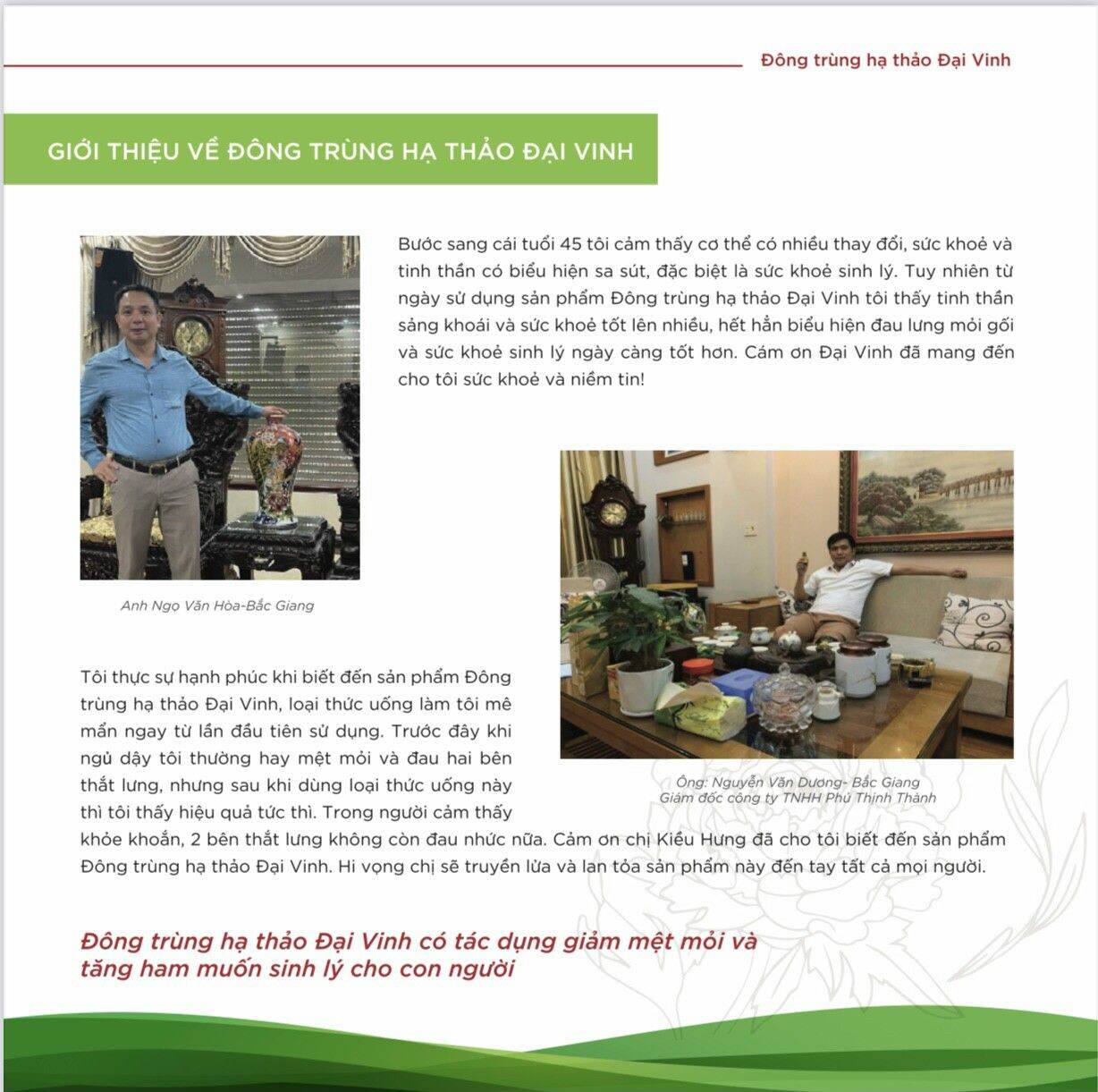 Đông trùng hạ thảo Đại Vinh