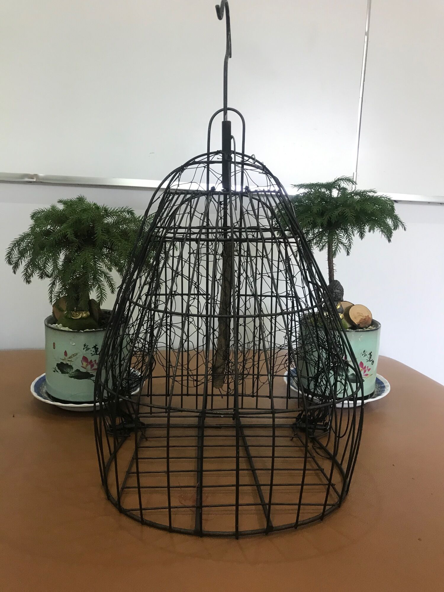 Lồng bẫy chim cu ( lồng bẫy chim cu gáy)