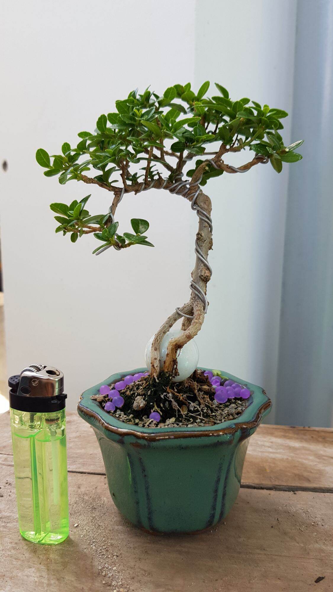 Sam Hương Siêu Mini tàn mịn
