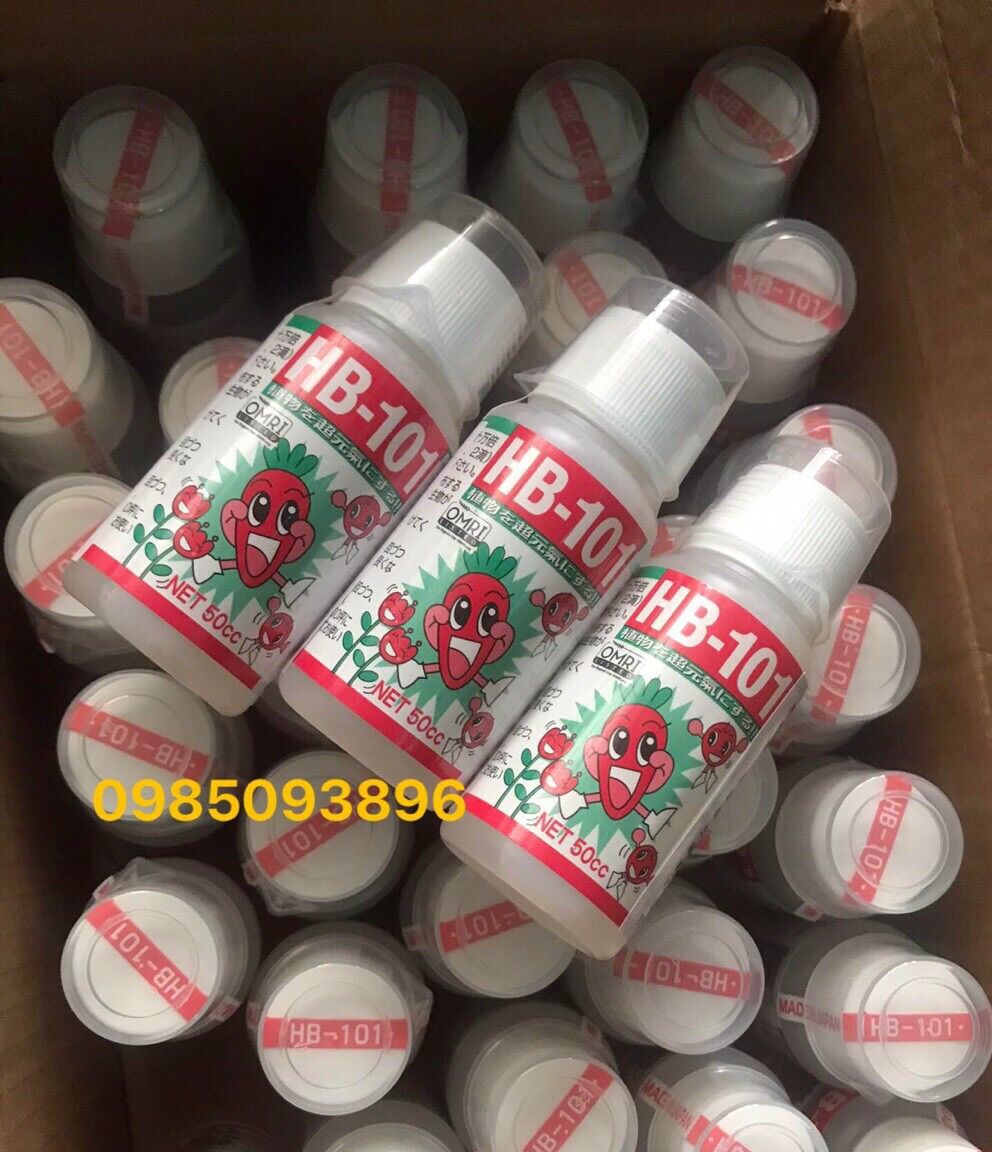 Dung dịch kích thích tăng trưởng HB-101 50ml - Siêu kích rễ cực mạnh