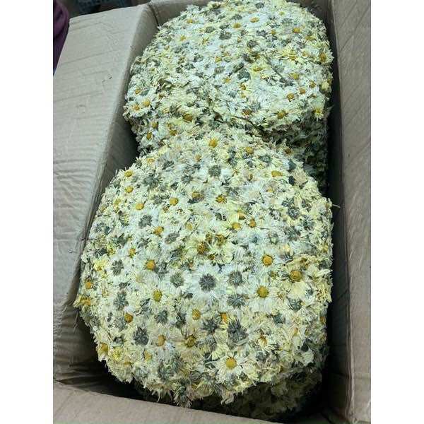 Cúc thơm - cúc bánh nấu nước sâm gói 500 gram