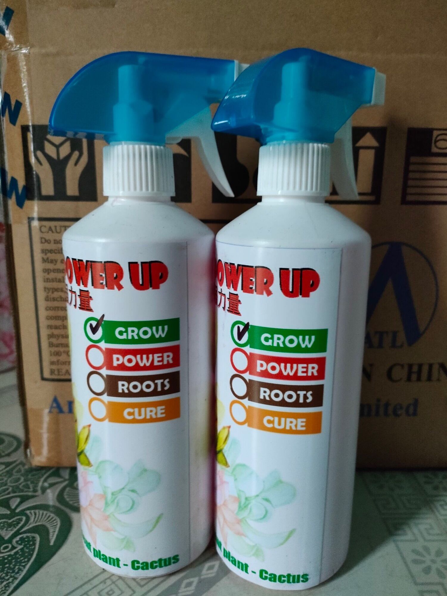 Dưỡng và chăm sóc sen đá Grow