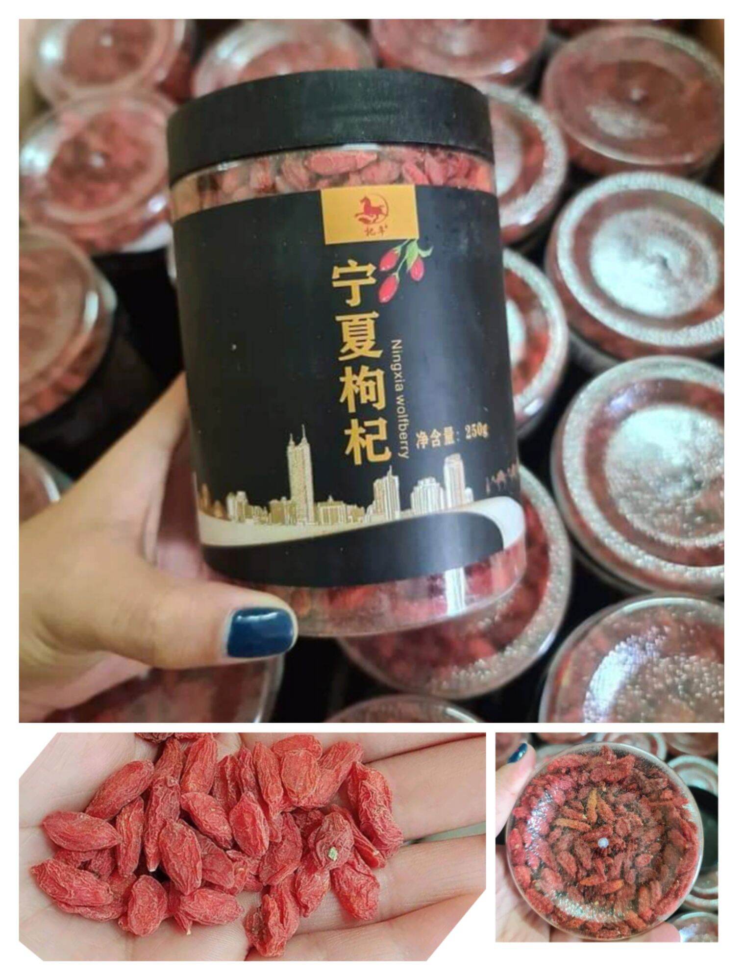 Kỷ tử ninh hạ