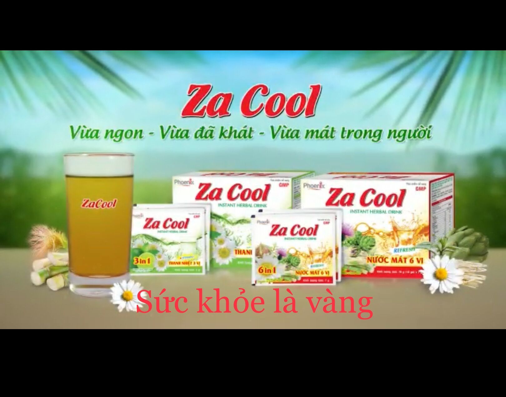 BỘT NƯỚC MÁT ZA COOL 6 VỊ (Sản phẩm Xuất Khẩu)