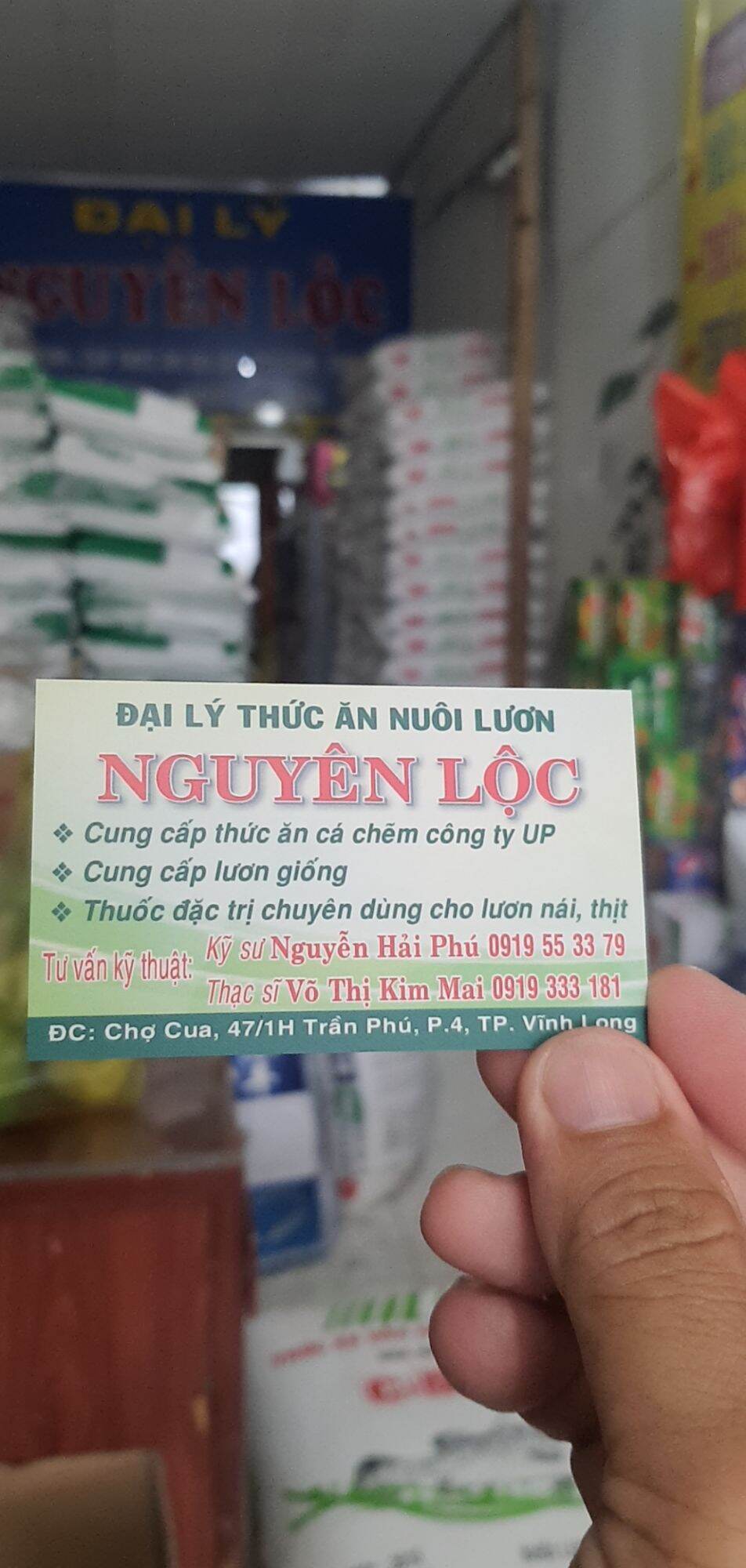 A31 tri bệnh cho lươn, cá, ếch.  Mua 10 tặng 1