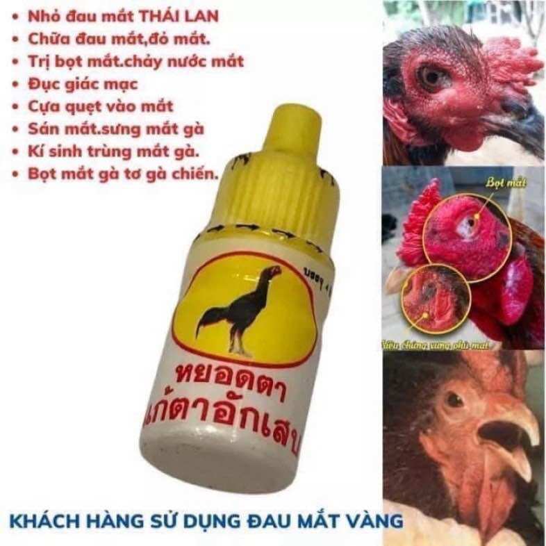 Nhỏ đau mắt Thái Lan cho gà chọi, gà tre chảy nước mắt, bọt mắt, sán mắt, sưng đau mắt