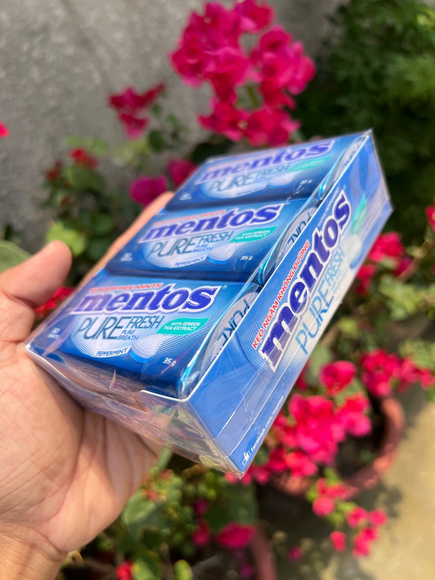 Kẹo ngậm mentos 6 lọ×35g