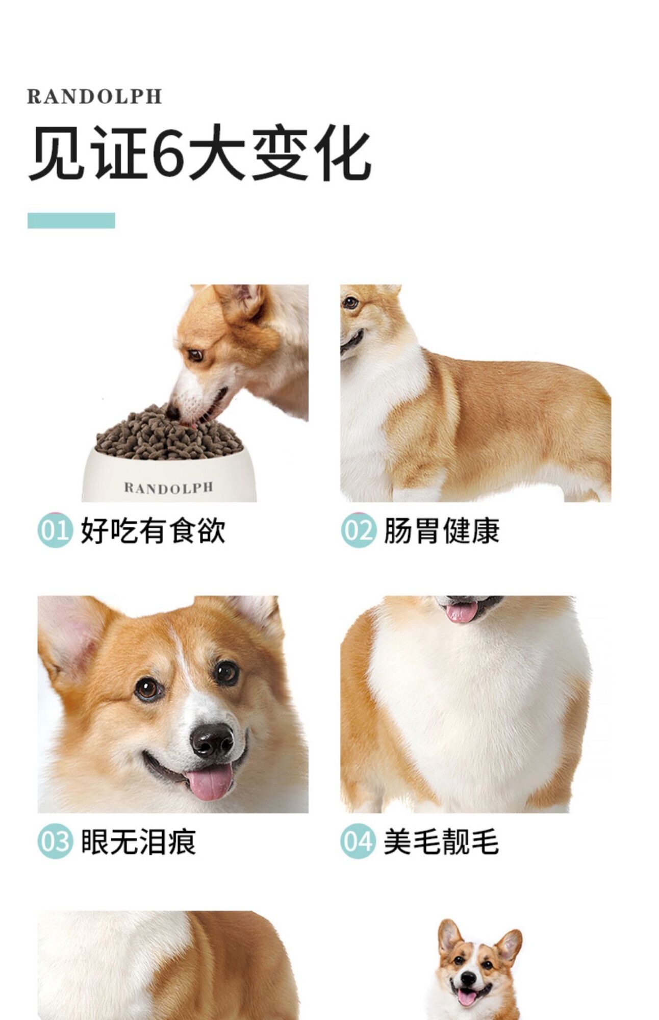 Thức ăn chó chó CORGI KERES TÚI 2kg