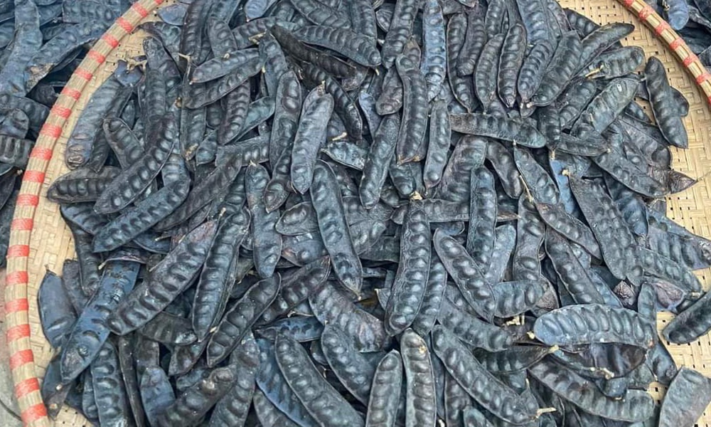 Bồ Kết Khô 500g [ hàng loại 1 ]
