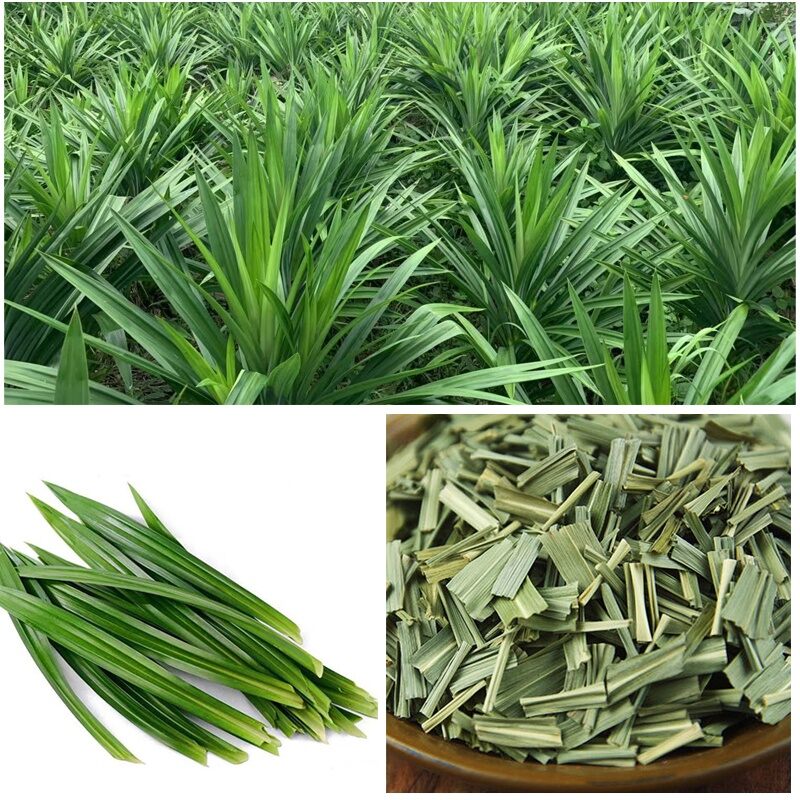 Lá dứa tươi 1kg