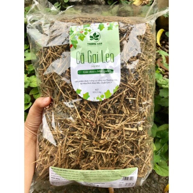 500g cây cà gai leo khô