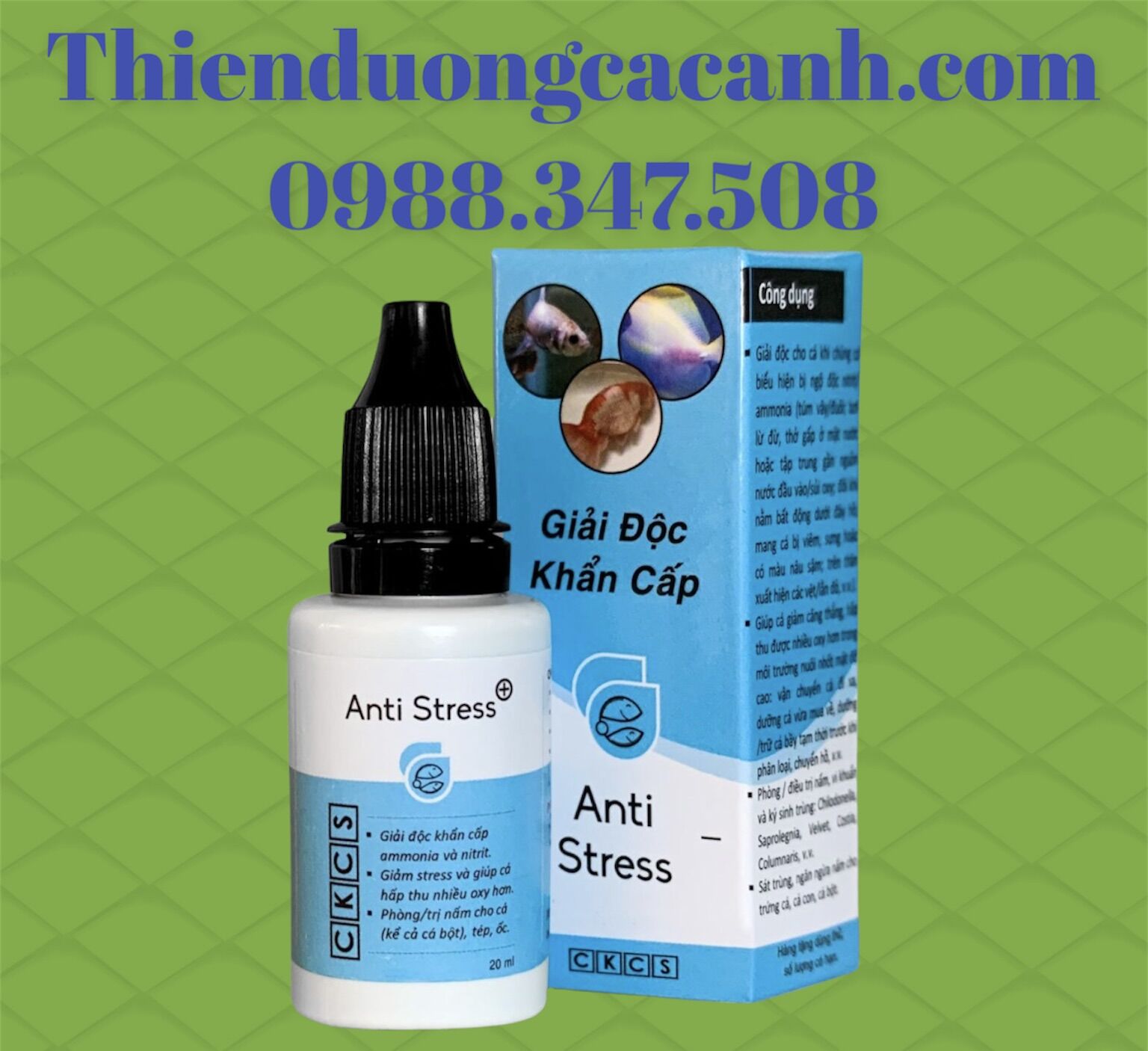 Anti Stress Cho Cá Cảnh ( Giảm Stress & Phòng Nấm Cá)