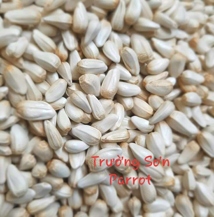 1000g hạt kham cho chim vẹt, chuột, hamster, sóc....