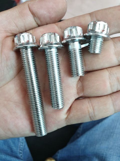 Ốc salaya 10li