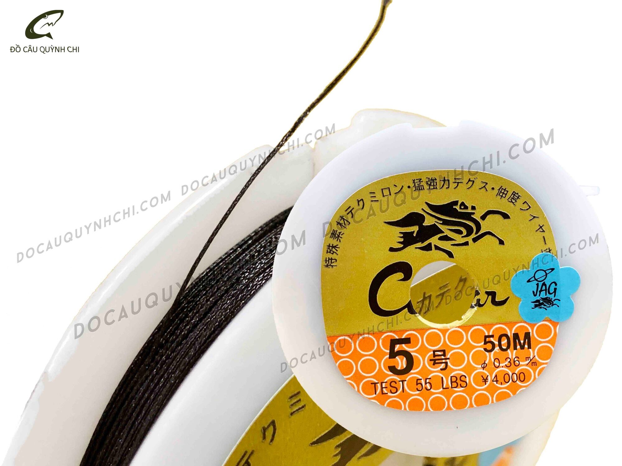 DÙ RỒNG - 50M [ĐỒ CÂU QUỲNH CHI - MINH HG]