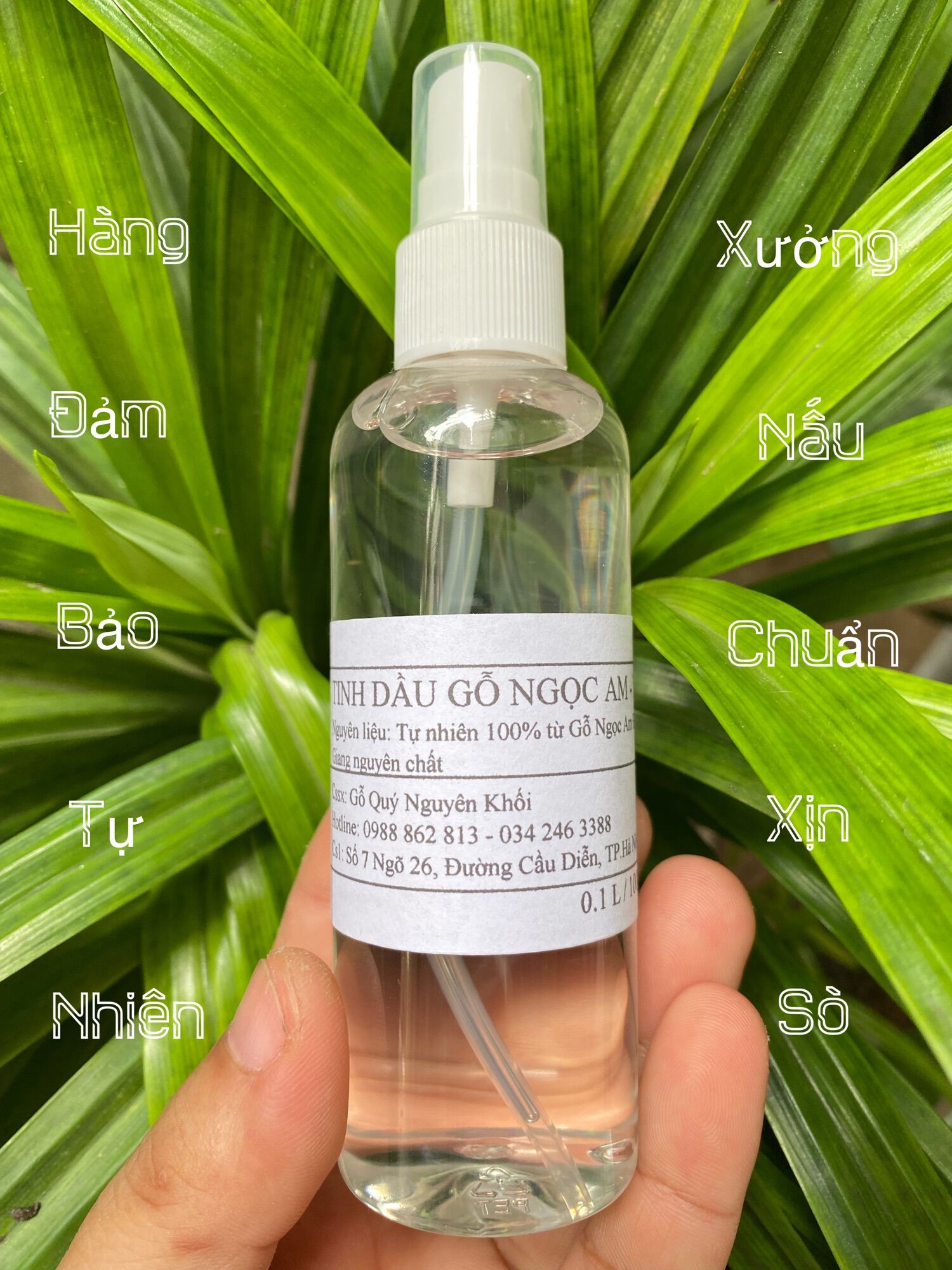 Tinh Dầu Gỗ Ngọc Am Đỏ Hà Giang 100ml