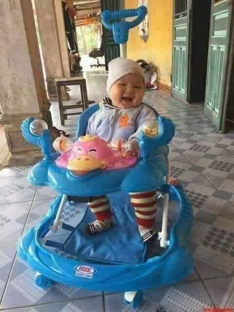 xe tròn tập đi nhựa việt nhật