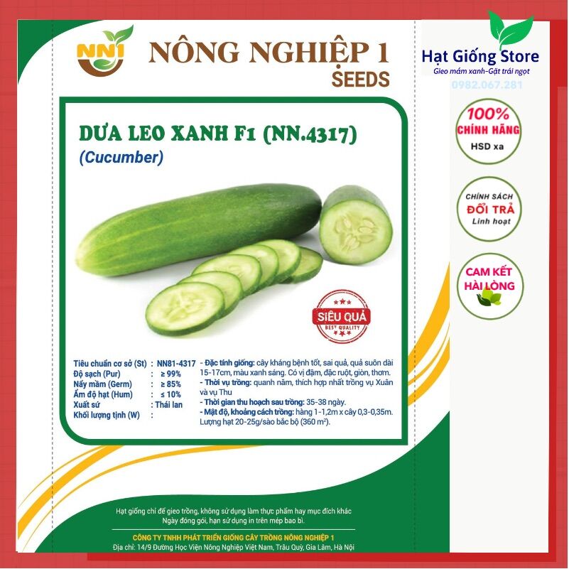 Hạt giống dưa leo f1 dễ trồng, trái sai, giòn, ngọt, trồng quanh năm