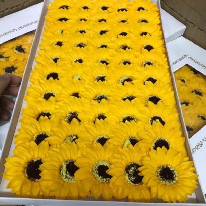 Hoa hướng dương sáp, hộp 50 bông