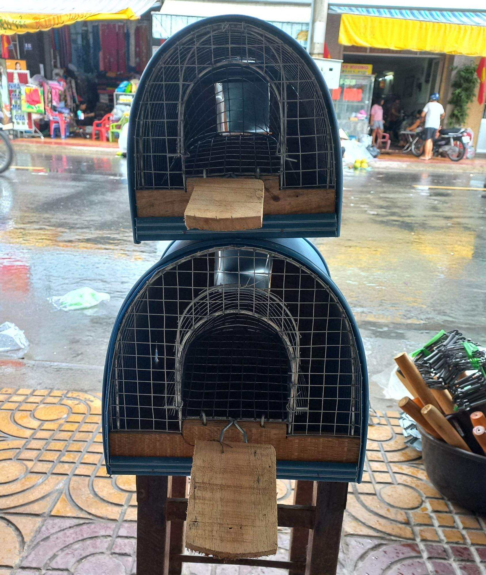 bẫy bắt chuột thông minh