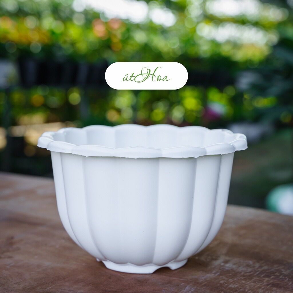 Combo 10 Chậu Treo Bí Lớn 22X14Cm (Chọn Màu, Kèm Dây Treo)