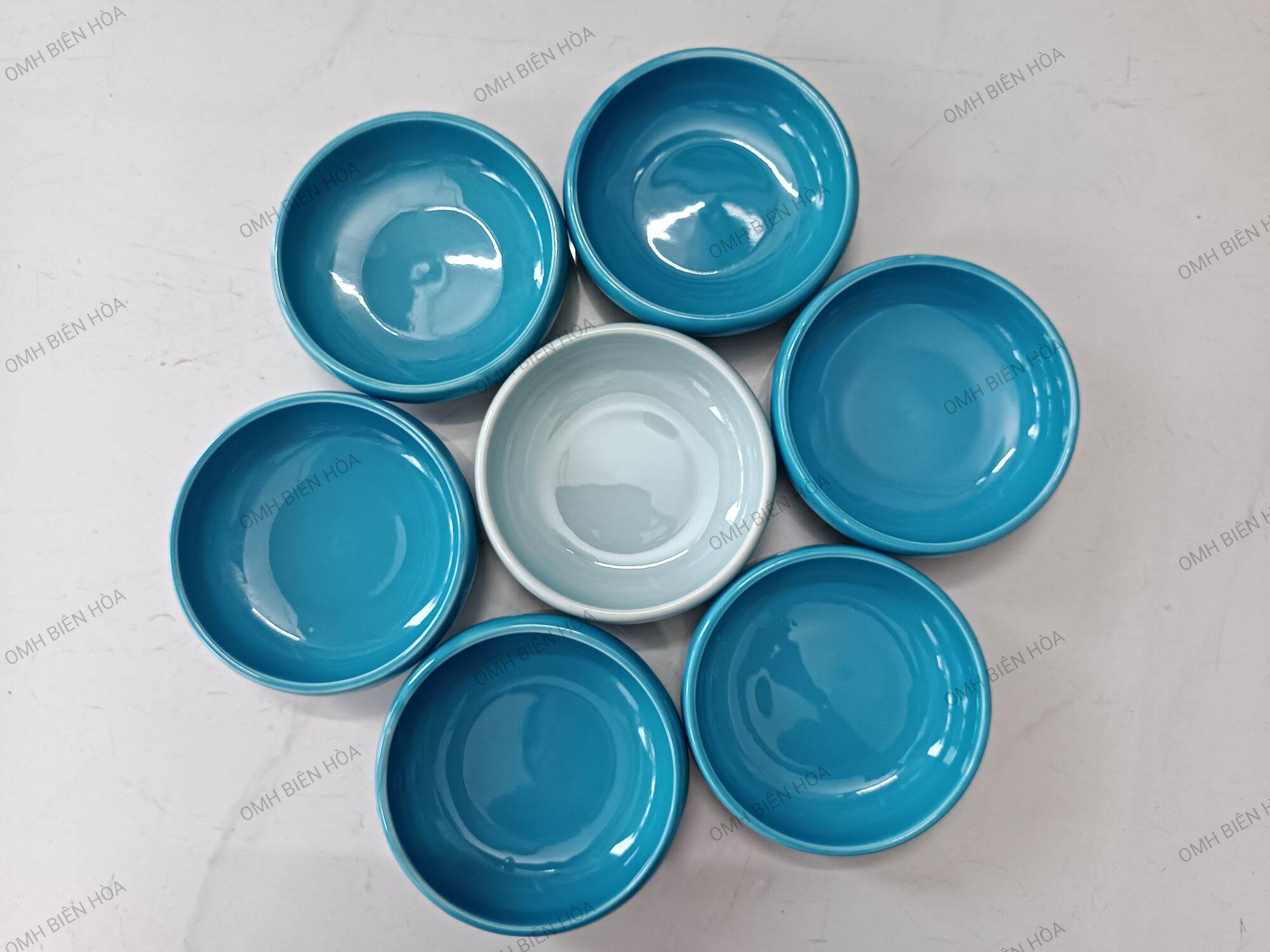 Chén ăn bằng sứ cho bò sát.Ốc mượn hồn Biên Hòa