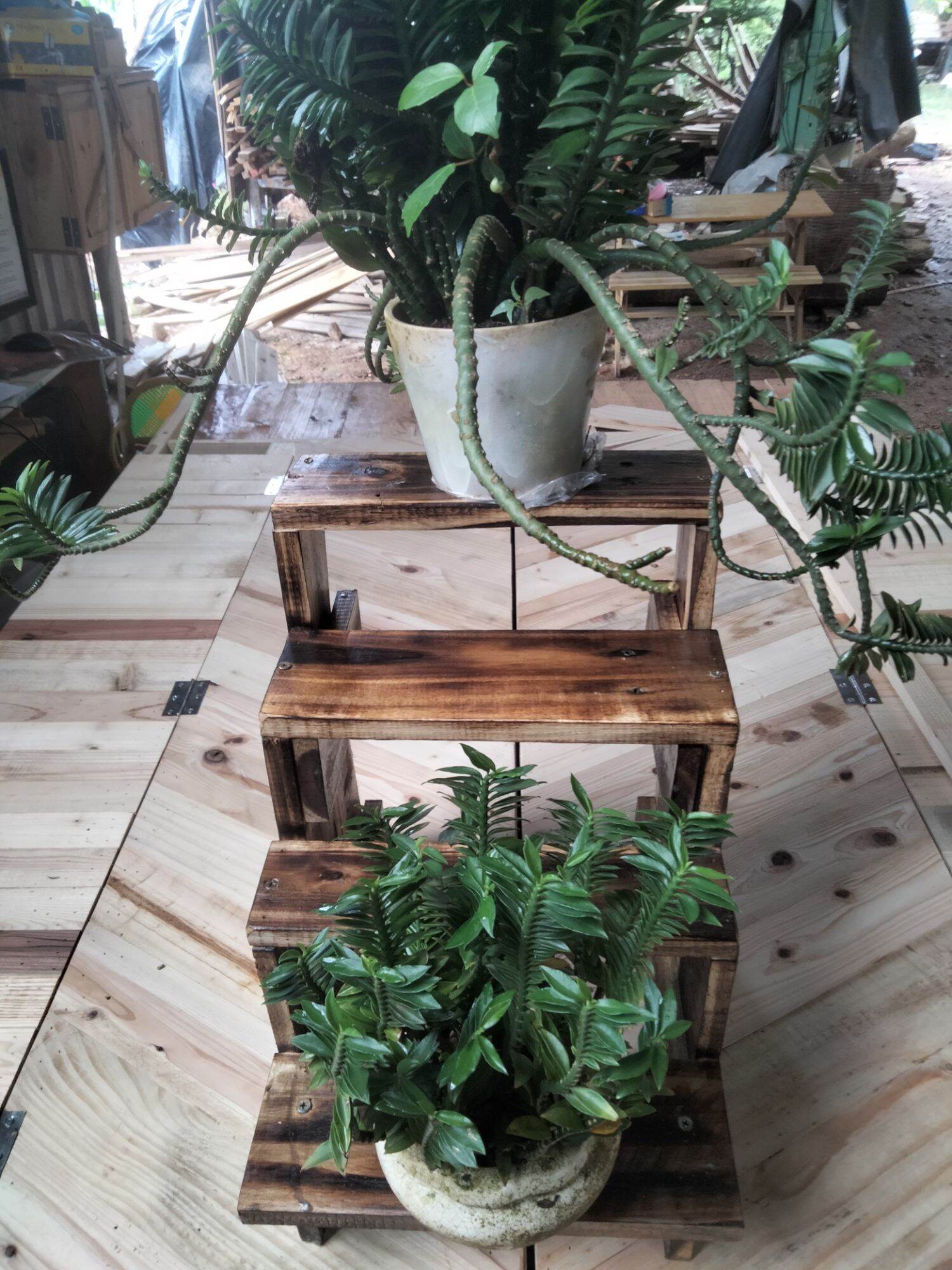 Kệ để chậu hoa, cây cảnh nhỏ .