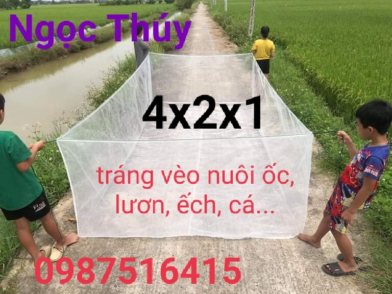 Tráng lưới nuôi ốc lươn ếch cá