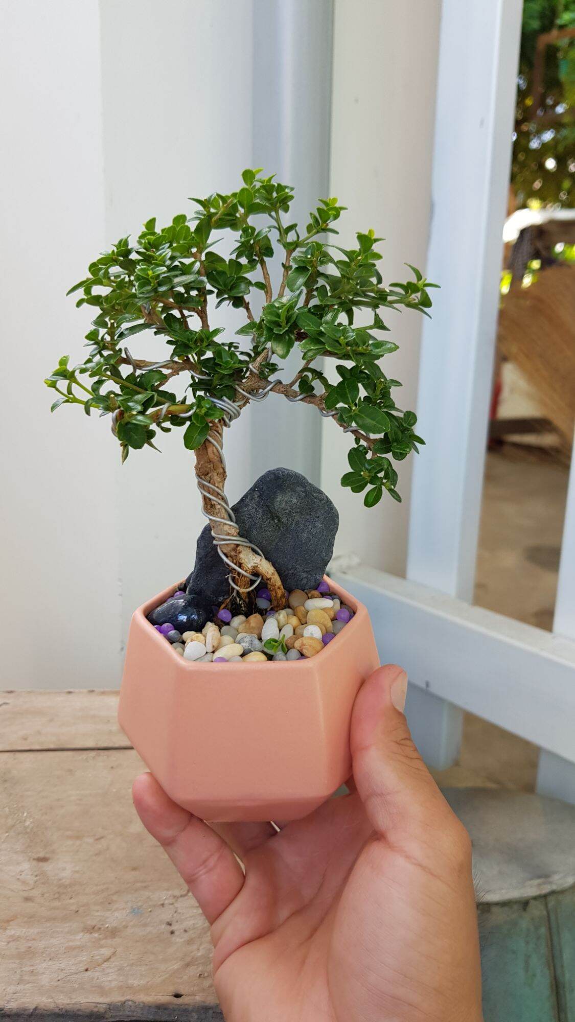 Sam Hương Siêu Mini tàn mịn