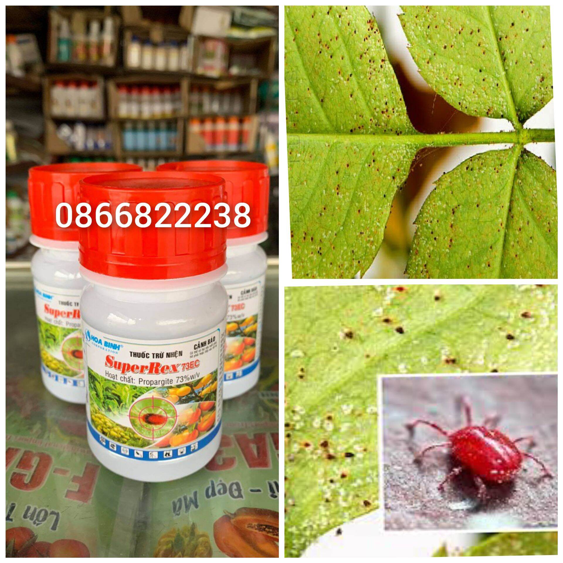 ĐẶC TRỪ NHỆN ĐỎ NHỆN VÀNG GÂY HẠI CHO CÂY ( CHAI 100ML )