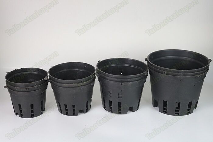 Combo 5 Chậu Nhựa Phi 12 Trồng Lan