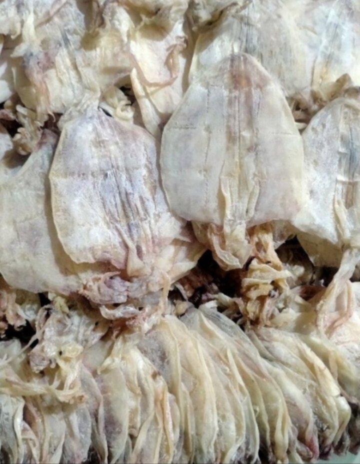 31 con mực mini ngon ngọt y hình
